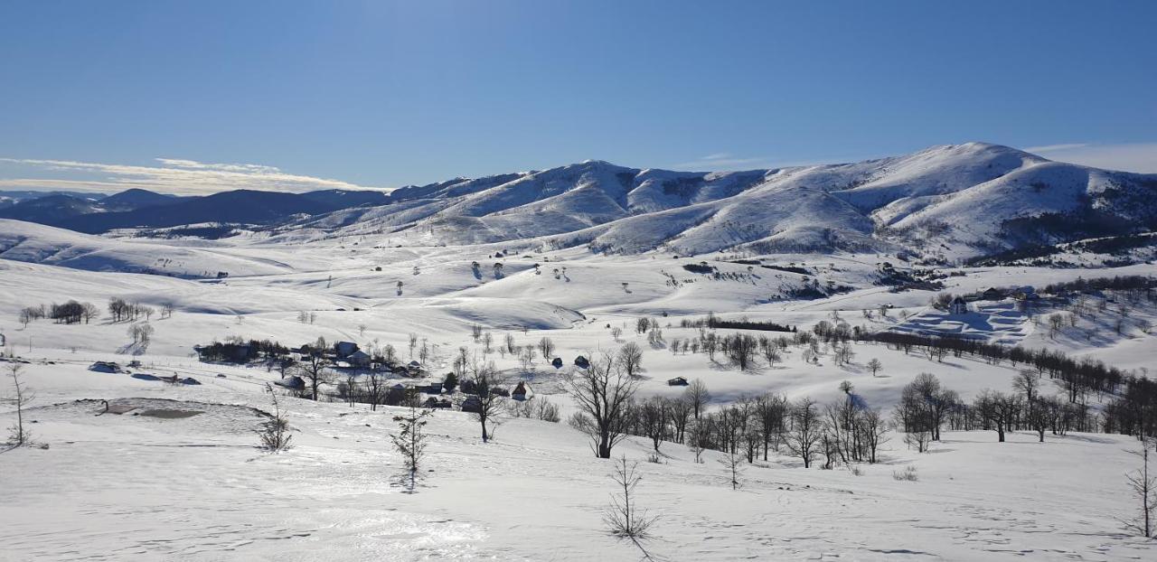 Nadezda *